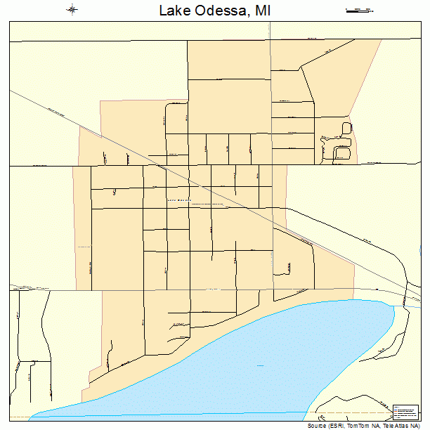 Lake Odessa, MI street map