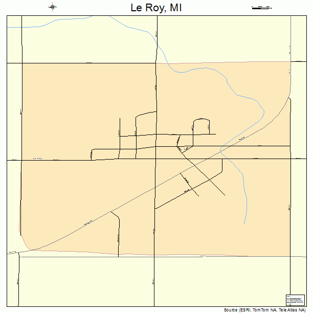 Le Roy, MI street map