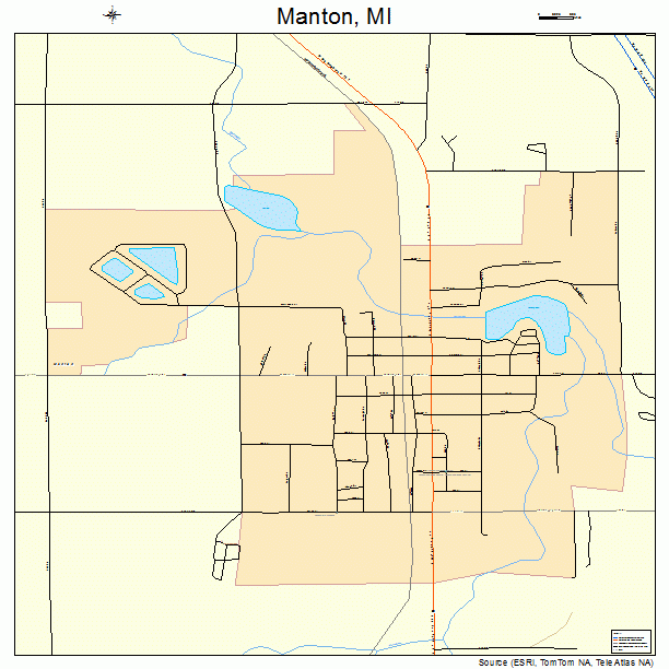 Manton, MI street map