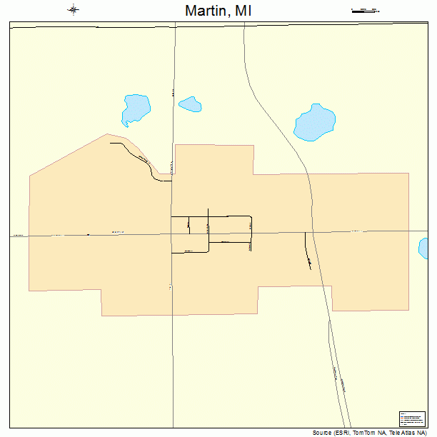 Martin, MI street map