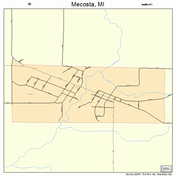 Mecosta, MI street map