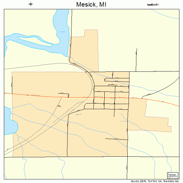 Mesick, MI street map