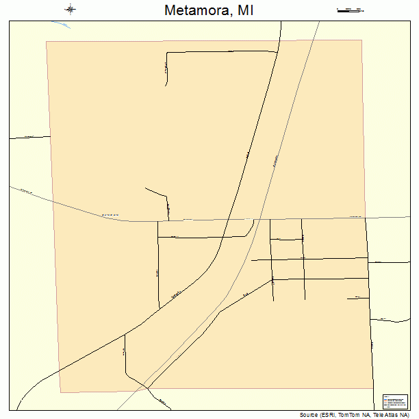 Metamora, MI street map