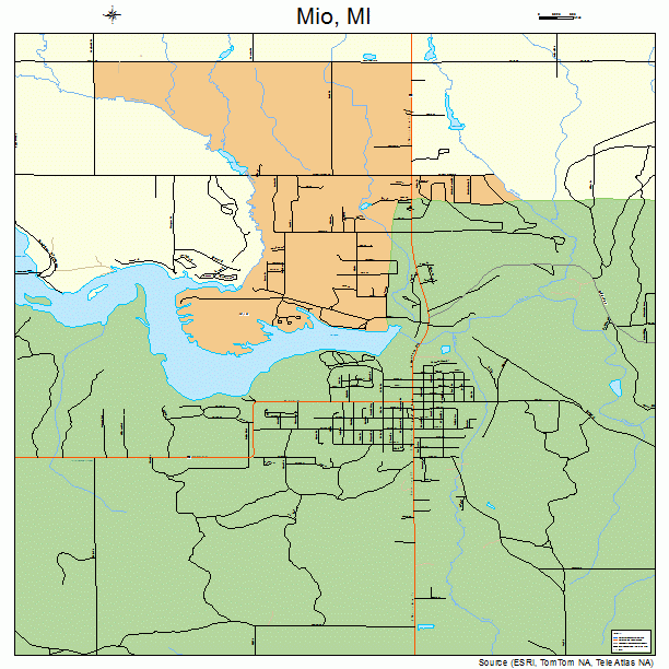 Mio, MI street map