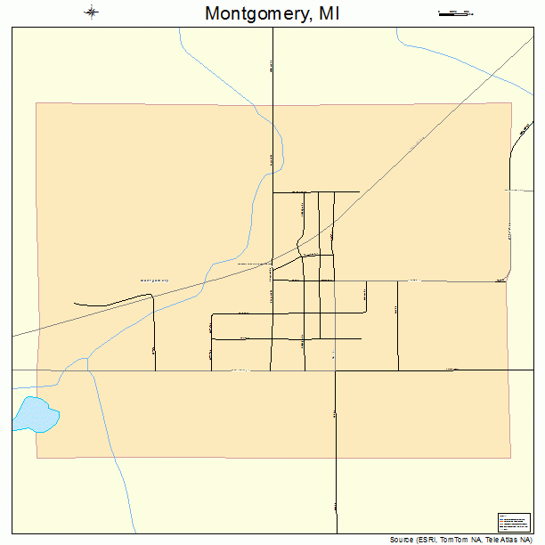 Montgomery, MI street map