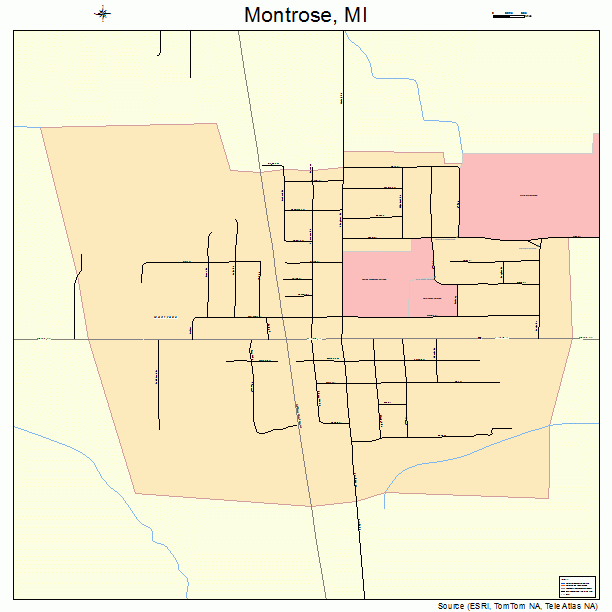 Montrose, MI street map