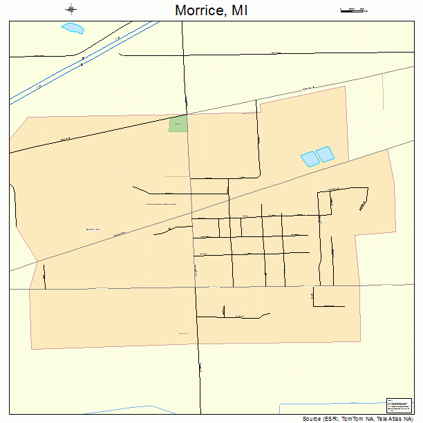 Morrice, MI street map