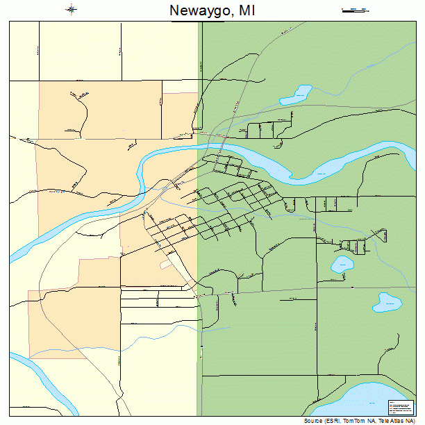 Newaygo, MI street map