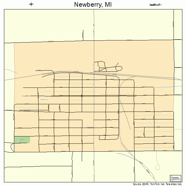 Newberry, MI street map