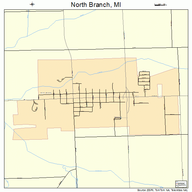 North Branch, MI street map