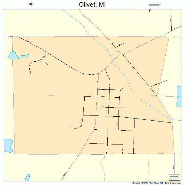 Olivet, MI street map
