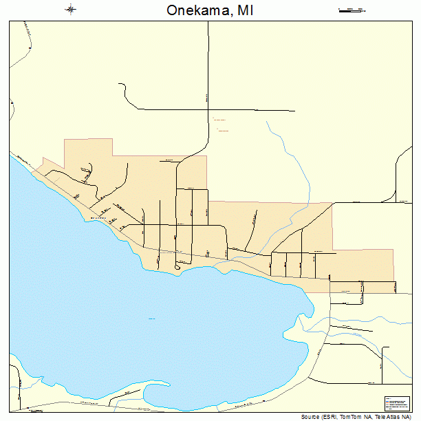 Onekama, MI street map