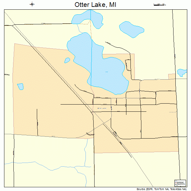 Otter Lake, MI street map