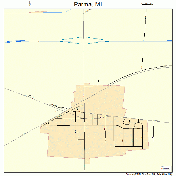 Parma, MI street map