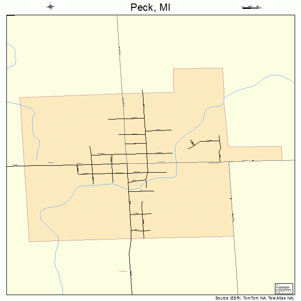 Peck, MI street map