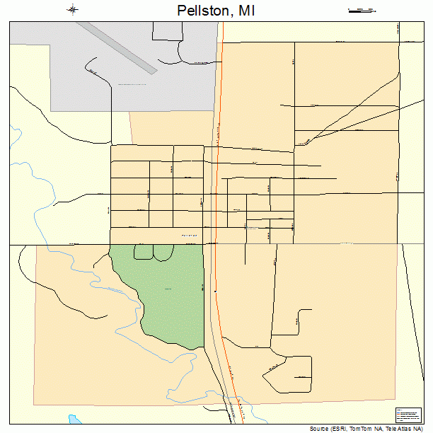 Pellston, MI street map