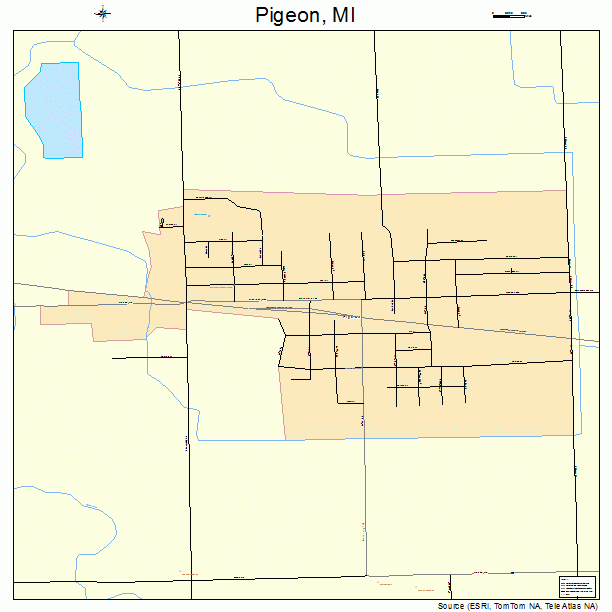 Pigeon, MI street map