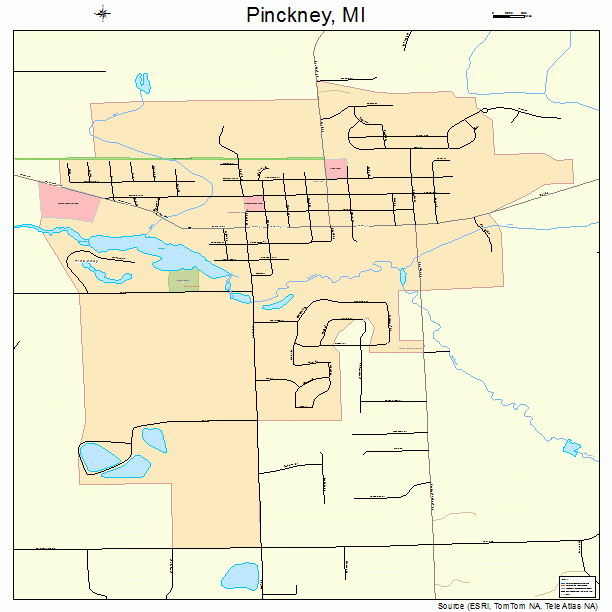 Pinckney, MI street map