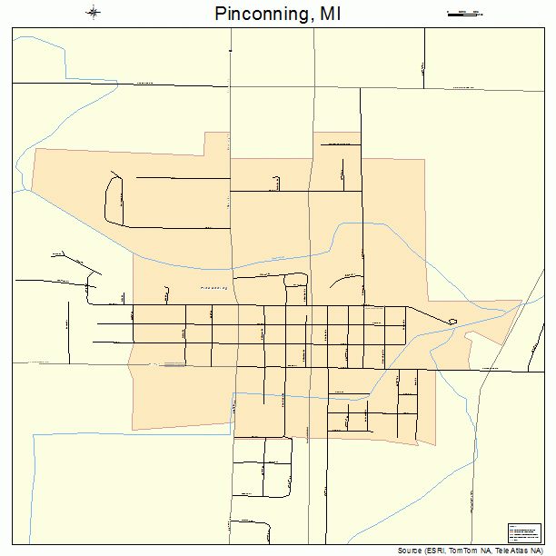 Pinconning, MI street map