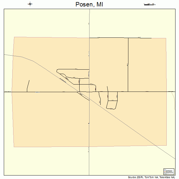 Posen, MI street map