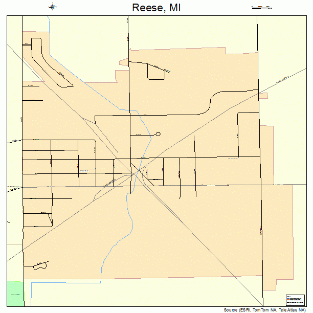 Reese, MI street map