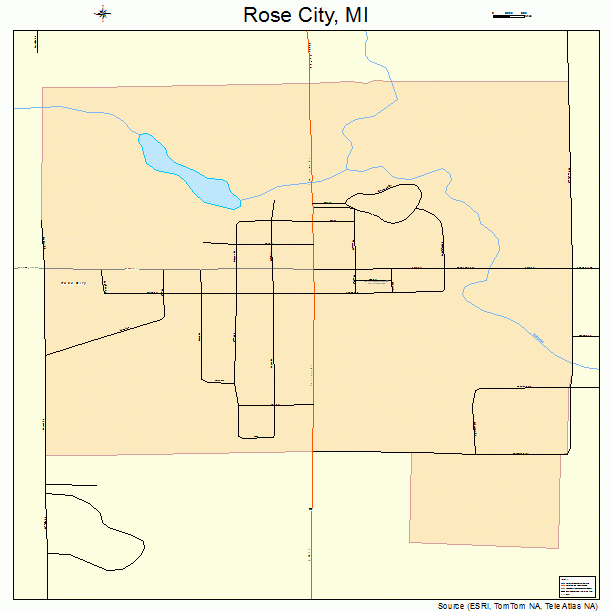 Rose City, MI street map