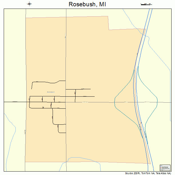 Rosebush, MI street map