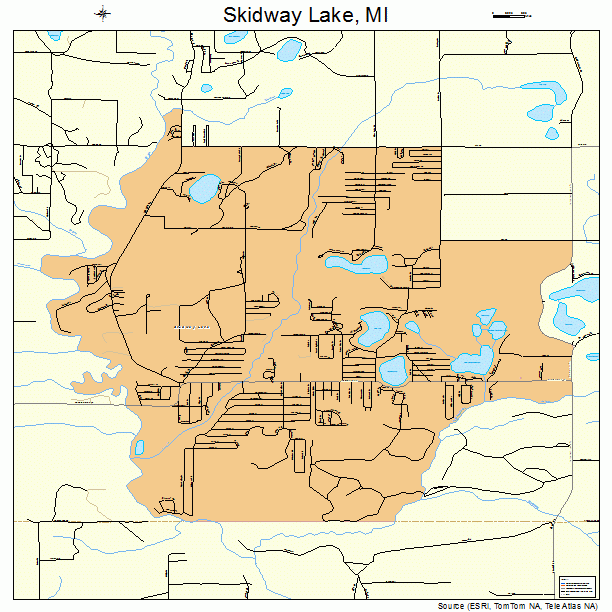 Skidway Lake, MI street map