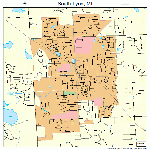 South Lyon, MI street map