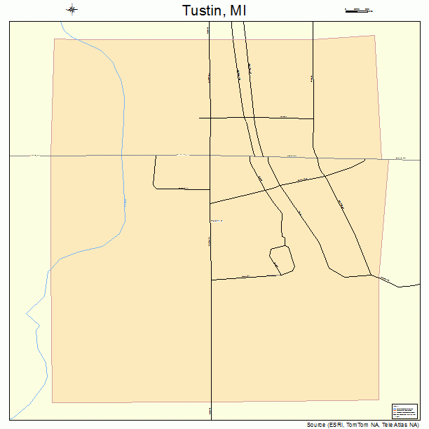 Tustin, MI street map