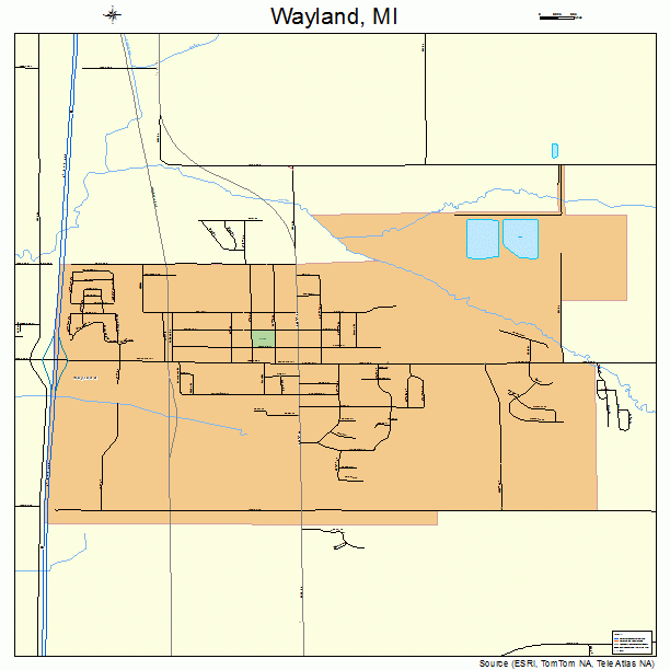 Wayland, MI street map