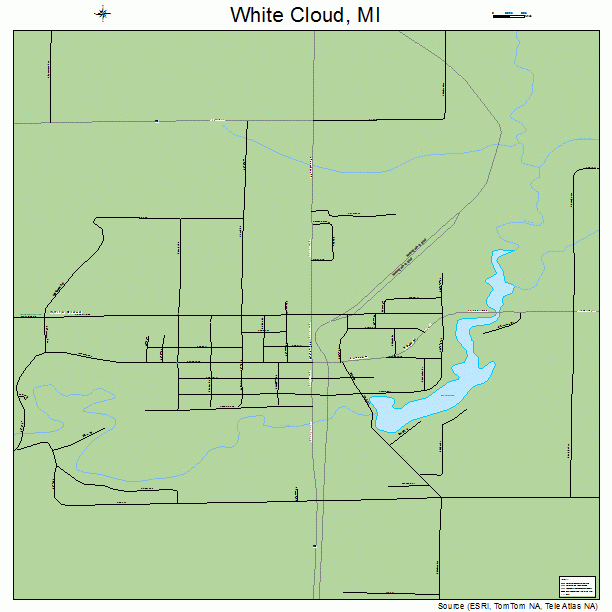 White Cloud, MI street map