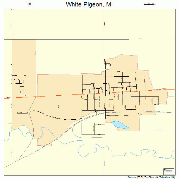 White Pigeon, MI street map