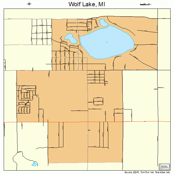 Wolf Lake, MI street map