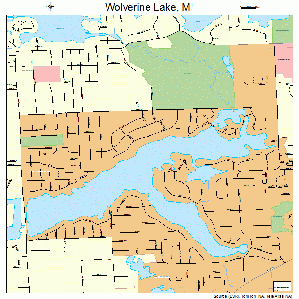Wolverine Lake, MI street map