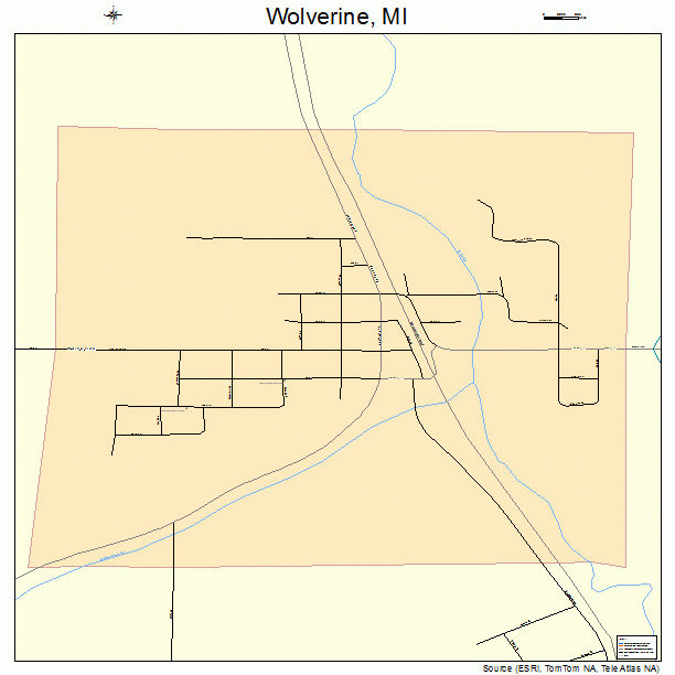 Wolverine, MI street map