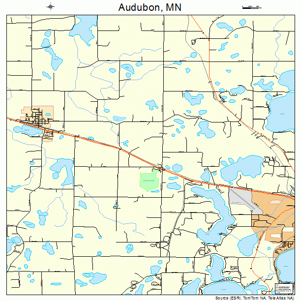 Audubon, MN street map