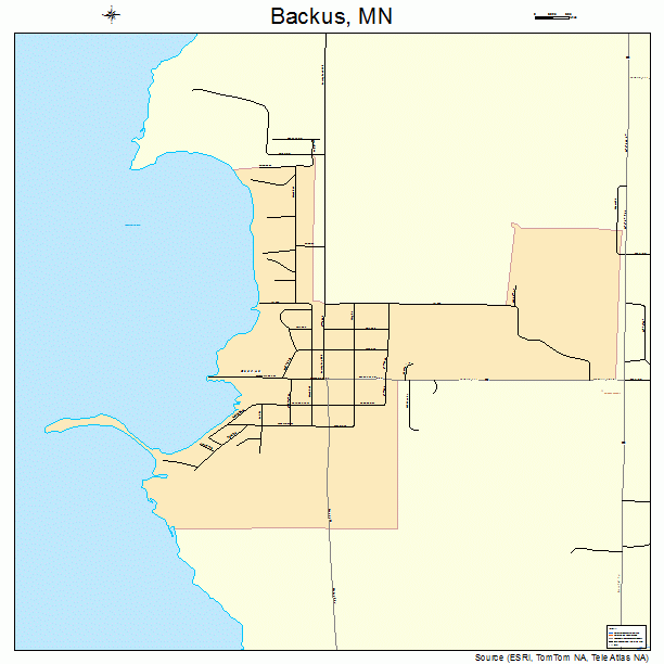 Backus, MN street map