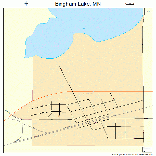 Bingham Lake, MN street map