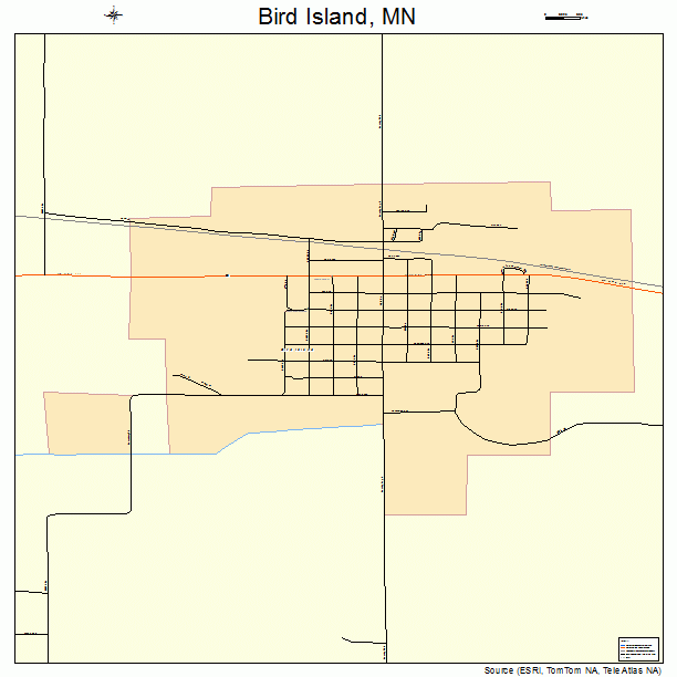 Bird Island, MN street map