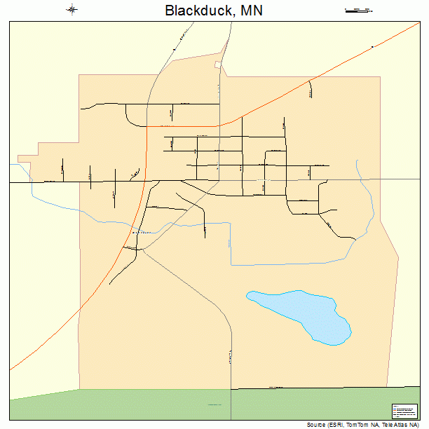 Blackduck, MN street map
