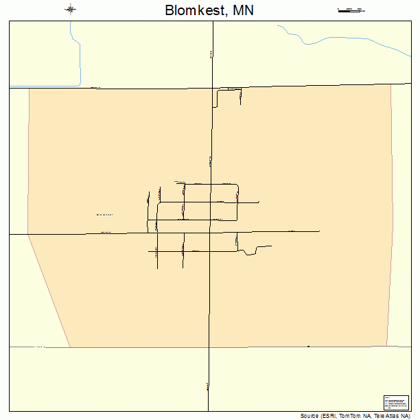 Blomkest, MN street map