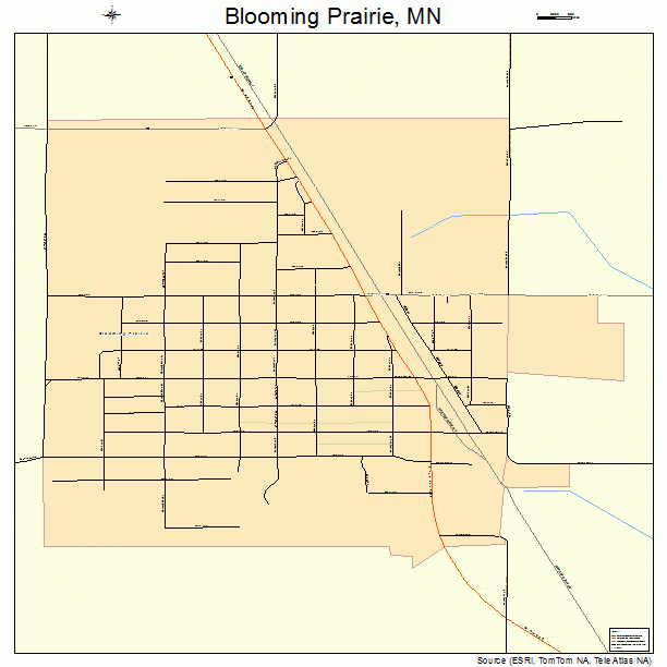 Blooming Prairie, MN street map