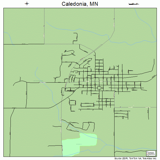 Caledonia, MN street map