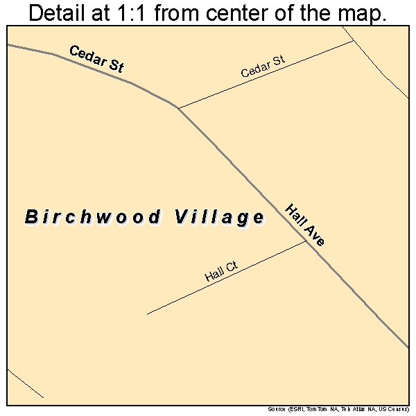 Birchwood Village, Minnesota road map detail