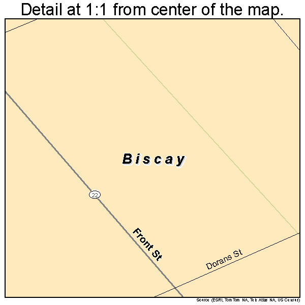 Biscay, Minnesota road map detail