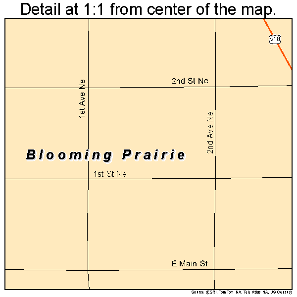 Blooming Prairie, Minnesota road map detail