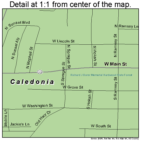 Caledonia, Minnesota road map detail