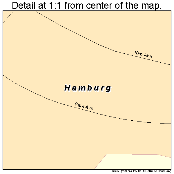 Hamburg, Minnesota road map detail