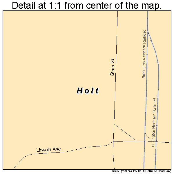 Holt, Minnesota road map detail